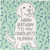 Birthday Card from the Dog Embossed Studio Ink Design