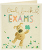 Boofle Good Luck Exams Card