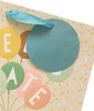 Boofle Celebrate Medium Gift Bag