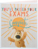 Boofle Cute Design Passing Exams Congratulations Card