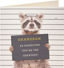 Cute Raccoon Design Grandson Birthday Card