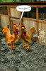 Hilarious Chicken Joke Birthday Card