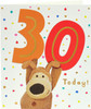 Boofle Cute Design 30th Birthday Card