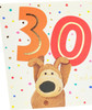 Boofle Cute Design 30th Birthday Card