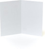 Funny Blank Birthday Card