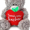 Me To You Official Collection Thank You Teacher Plush Bear 10cm High