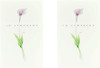 Classic Watercolour Flower Design Sympathy Bereavement Card