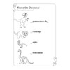 12 x My Wild Dragon & Dinosaur All-In-One Activity Books