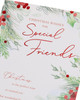 Mistletoe & Verse Design Friend Christmas Card