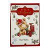 Box of 30 Bumper Cute Christmas Cards with Envelopes