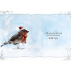 Robin Design Christmas Card