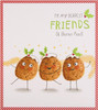 4 x Cards for Friends Funny Christmas Pudding Design Xmas Card