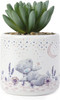Me to You Tatty Teddy Artificial Succulent in Moon and Stars Plant Pot