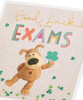 Boofle Good Luck Exams Card with Envelope