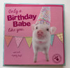 Studio Pets Birthday Babe Birthday Greeting Card