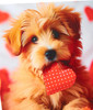 Adorable Puppy Design Valentine's Day Card