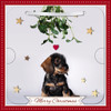 Dog With Mistletoe Photographic 3D Lenticular Merry Christmas Card with Detachable Keepsake