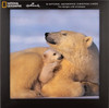 National Geographic Pack of 16 in 2 Designs Christmas Cards