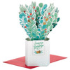 Paper Wonder Plant Season's Greetings Christmas Card