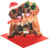 Dogs With Camera Special Friends Christmas Card