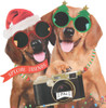 Dogs With Camera Special Friends Christmas Card