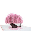 Pink Cherry Blossom Tree With Couple 3D Pop Up Greeting Card - Anniversary Valentine's Day