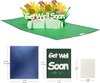 Sunflower & Carnation Garden 3D Pop Up Get Well Soon Card