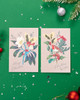 Multipack of 8 RHS Rose & Robin Design Christmas Cards