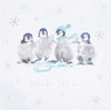 Multipack of 6 Penguins Design Christmas Cards with Envelopes