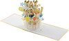 Paper Wonder 3D Pop-Up 'Yay You' Birthday Card Signature Collection 