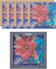 Bloom Luxury Design Multipack of 5 RHS Christmas Cards