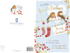 Robins On Washing Line Son And Partner Christmas Card
