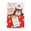 Hallmark Son and Wife Medium Christmas Card 'Festive Fun'