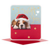 One I Love Hallmark Medium Christmas Card 'Wuff You'