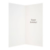 Happy Birthday Humour Funny Hallmark  New Card 'Trouble' - Medium