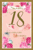 Age 18 Happy Birthday 18th Birthday Card 