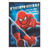 Spiderman Nephew Birthday Card The Hero