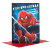 Spiderman Nephew Birthday Card The Hero