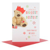 Hallmark Sending The B*I*G*G*E*S*T And B*E*S*T*E*S*T Christmas Card....