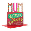 Hallmark Mum Christmas Card 'Thanks' Medium