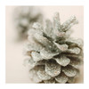 Hallmark Blank Christmas Card 'Glittered Pinecone' Small Square