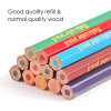 Pack of 12 Hexagonal Assorted Colouring Pencils