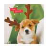 Hallmark Christmas Charity Card Pack "Dog Antlers" Pack of 10