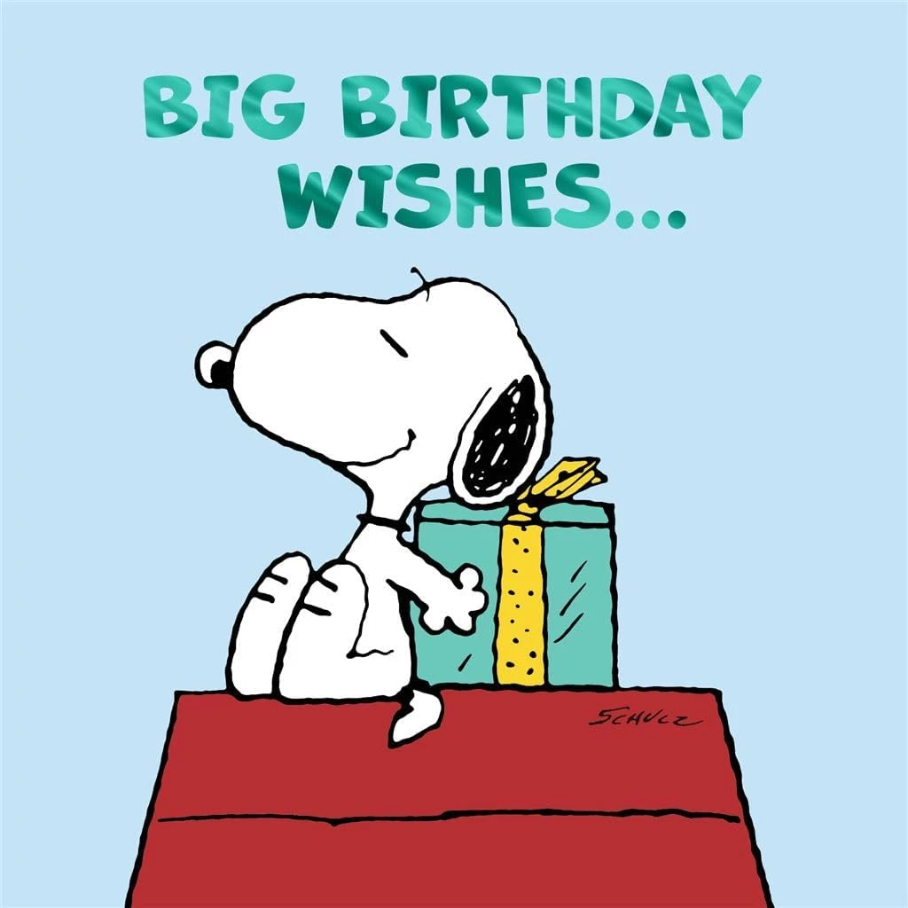 Peanuts Snoopy Big Birthday Wishes... Card - Occasion Cards