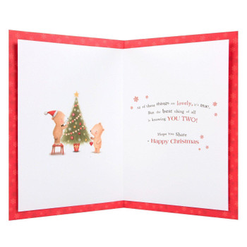 Hallmark Christmas Card To Both 'You're Brilliant' - Large
