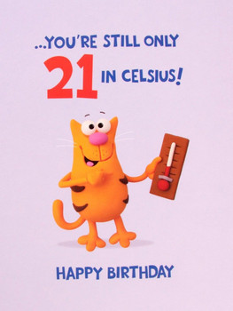 Hanson White 70 Today Birthday Card Ginger Cat