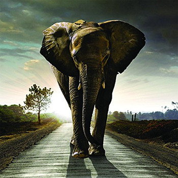 Elephant Stomp' 3D Holographic Lenticular Blank All Occasion New Up Close Card