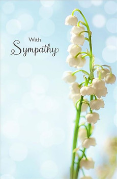 6 x Thinking of You Sympathy Sorry for your Loss Bereavement Condolences Cards