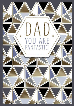 Dad You Are Fantastic Father's Day Card Luxe Life Hallmark 