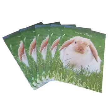 Bunny Hoppy Easter Pack Of 5 Cards